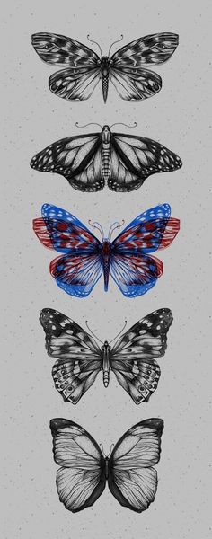 four butterflies in different colors and sizes on a gray background, each with an individual's own image