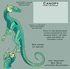 an image of a blue and green dragon with the name canopy on it's back