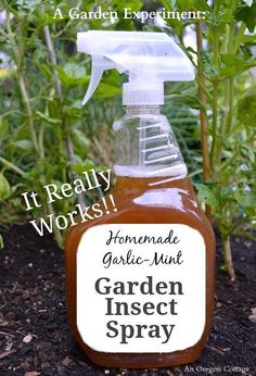 a bottle of garden insect spray sitting on the ground next to some plants and dirt