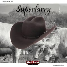 #westpointhats_usa 
It’s on u
#felthat #felthats #superlarry 
#westpointhats🤠 
Wapp 4761233084
tienda.westpointhats.com 
westpointhats.com 
#hot and #cold Cowboy