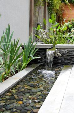 a small water feature in the middle of a garden