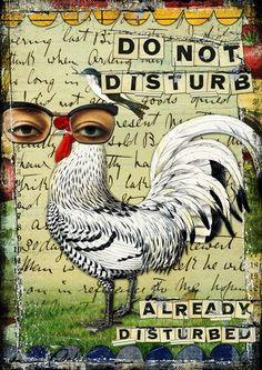 a rooster with glasses on it's head and the words don't disturb