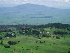 an aerial view of a lush green field with mountains in the distance and trees on either side