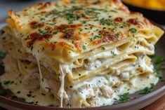 a close up of a plate of food with lasagna and cheese on it