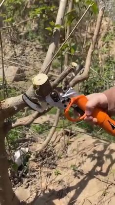 a man is trimming a tree with an orange pair of scissors and some branches