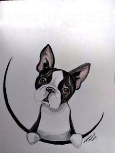 a drawing of a boston terrier sitting on the moon