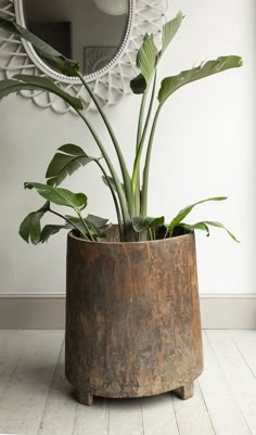 a potted plant sitting on top of a wooden stand in front of a mirror