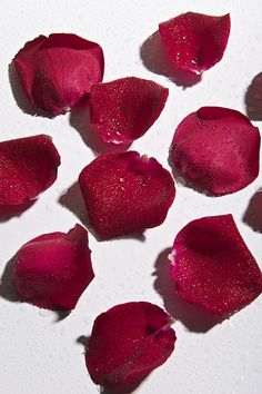 red petals with water droplets on them are arranged in a circle and placed on a white surface