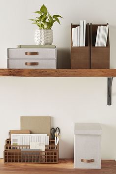 two shelves with office supplies on them and a plant in a vase next to it