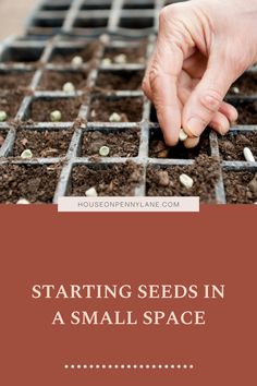 someone reaching for seedlings in a small space with text overlay reading starting seeds in a small space