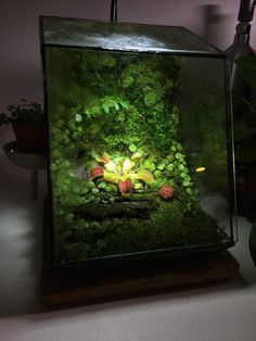 an aquarium filled with moss and plants on top of a wooden table next to a planter