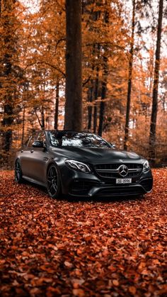 a black car parked in the middle of a forest with autumn leaves on the ground