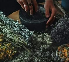 a person is placing something in a bowl on a table with other plants and herbs