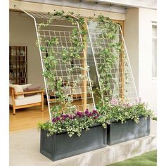 Balcon Mic, Small Balcony Garden, نباتات منزلية, Small Deck Decorating Ideas, Deck Decorating Ideas, Garden Design Ideas, Have Inspiration, Balcony Design