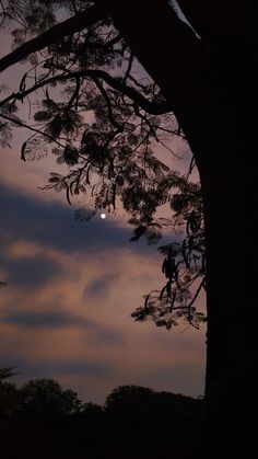 the moon is setting behind a tree with clouds in the background