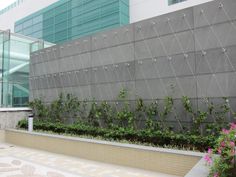 a wall with plants growing on it in front of a building