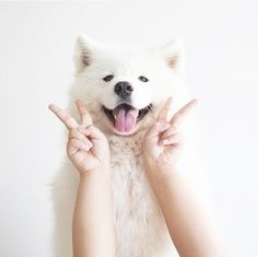 a woman holding up her dog's head to show the peace sign