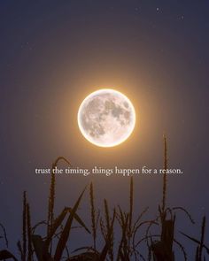 a full moon with the words trust the things, things happen for a reason