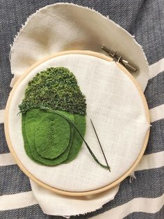 a close up of a green plant on a piece of cloth