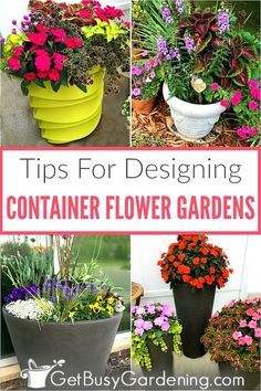 flower pots with flowers in them and the words tips for designing container flower gardens