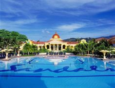 an outdoor swimming pool surrounded by palm trees