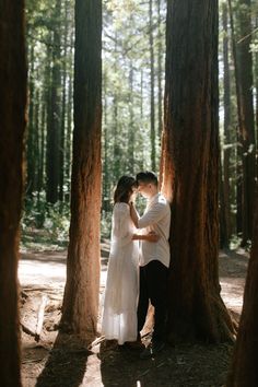 a man and woman standing in the middle of a forest holding each other's hands