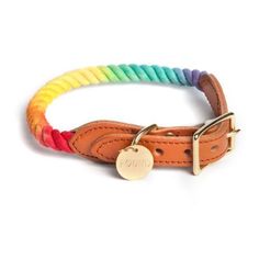 a leather dog collar with multicolored rope