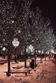 snow covered park benches and street lights in the night time with stars falling from the sky