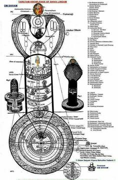 a diagram of the inside workings of a machine