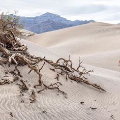 a woman is standing on top of a sand dune