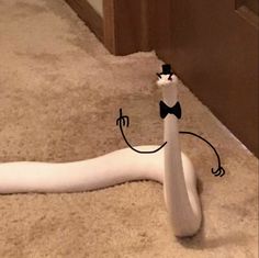 a white snake laying on the floor with a bow tie around it's neck