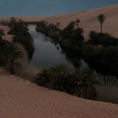 a river running through the middle of a desert with palm trees on both sides and dark blue sky in the background