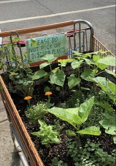 a cart filled with lots of plants sitting on top of a sidewalk next to a street