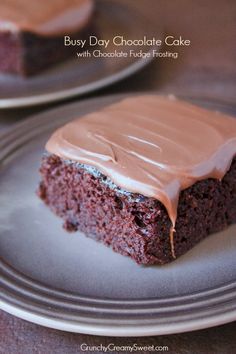 there is a piece of chocolate cake with frosting on the plate next to it