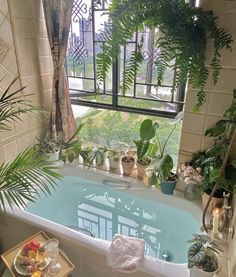 a bathtub filled with lots of plants next to a window