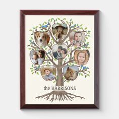 a family tree with many different pictures hanging on it's sides and the words, the harrisons