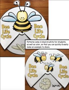 the bee life cycle is shown in three different pictures