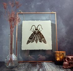 an insect is shown in a frame next to some dried flowers and a copper candle