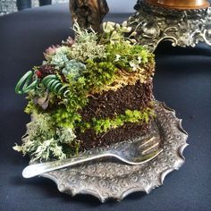 a piece of cake sitting on top of a metal tray covered in moss and dirt