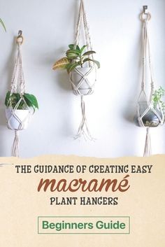 the guide to creating easy macrame plant hangers by beginner's guide