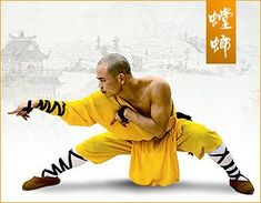 Shaolin Monks, Kung Fu Martial Arts, Shaolin Kung Fu, Martial Arts Boxing, Action Pose Reference, Chinese Martial Arts, Martial Arts Training