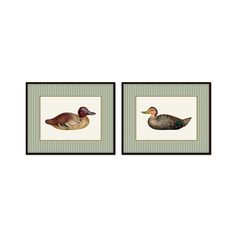 two framed pictures with ducks on them