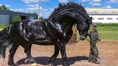 a man standing next to a black horse