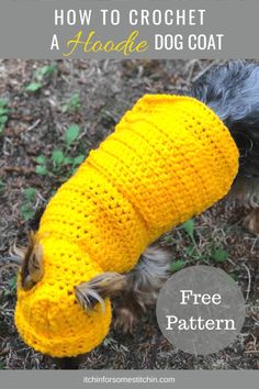 a dog wearing a yellow sweater with the words how to crochet a hoddie dog coat