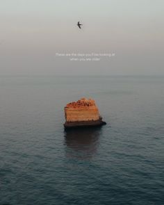 a bird flying over the ocean next to a large rock in the middle of the water