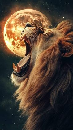 Lion Face Photography, Aslan Wallpapers, Lion And Sun, Lion Tail, Lion Roaring, Lions Roar, Lion Roar, Petit Tattoo, Lion Artwork