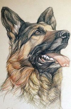 a drawing of a german shepherd dog with its tongue out and his mouth open, looking to the left