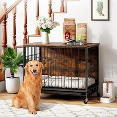 a golden retriever sitting in front of a dog crate