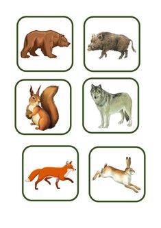 four different types of animals are shown here