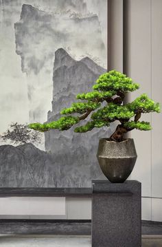 a bonsai tree sitting in a vase next to a painting